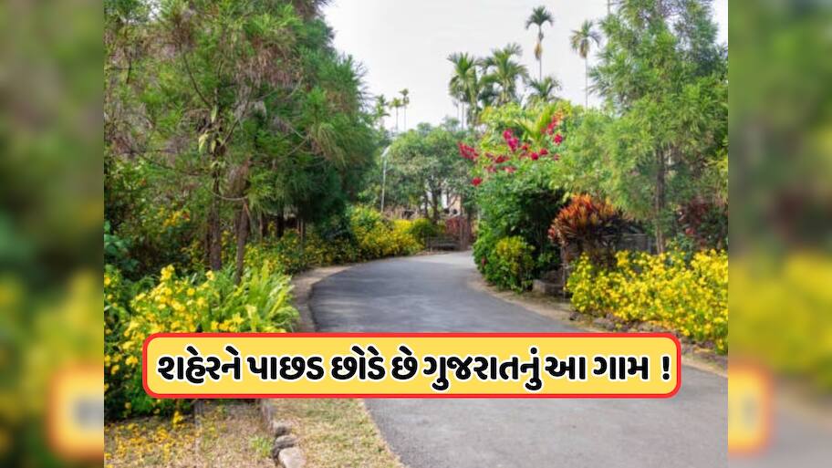 ભારતના 5 સૌથી સ્વચ્છ ગામોમાં એક ગુજરાતના ગામનો પણ થાય છે સમાવેશ, જાણો આ મોર્ડન વિલેજ વિશે