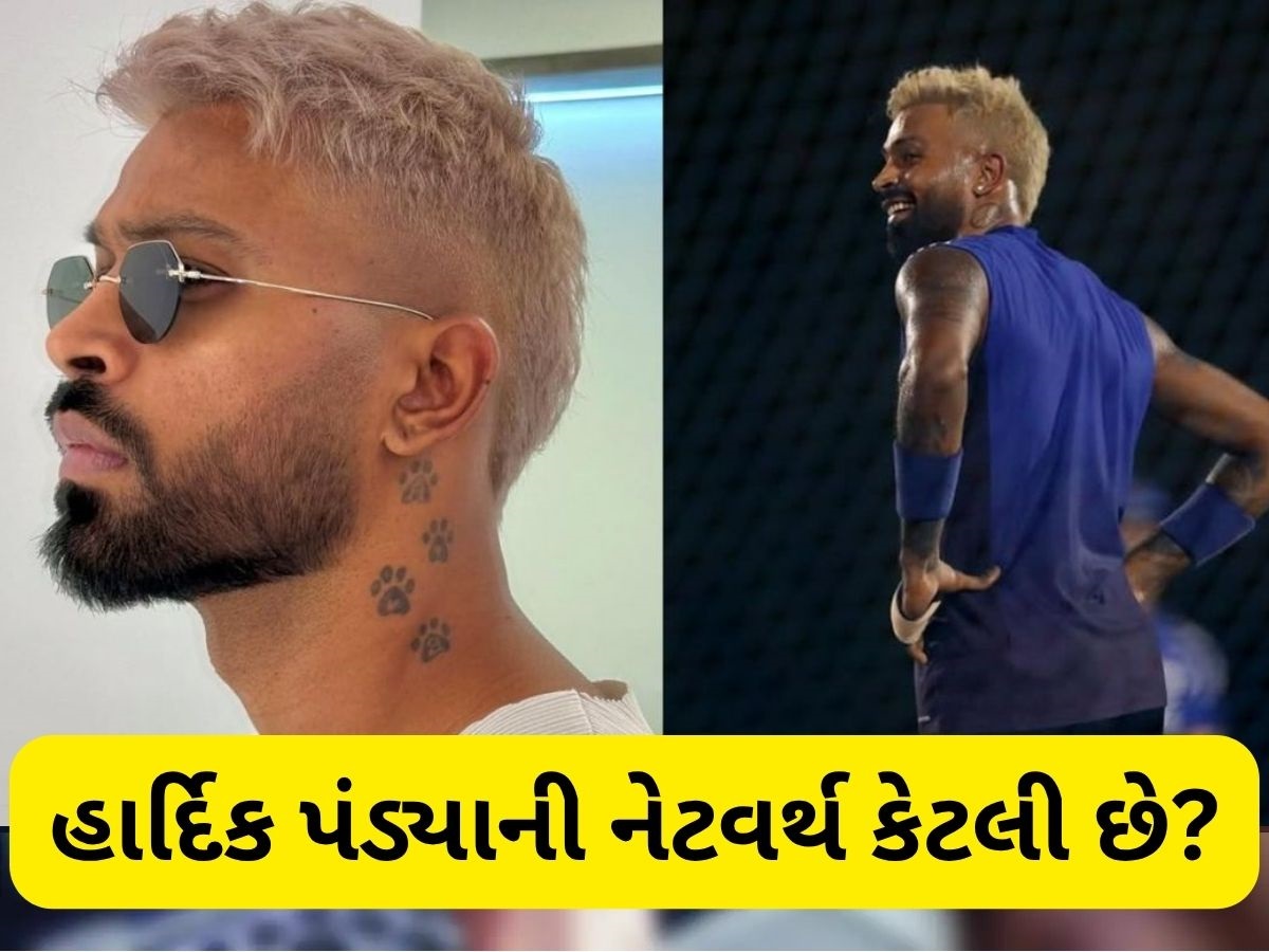 Hardik Pandya Net Worth: જાણો કેટલી સંપત્તિનો માલિક છે હાર્દિક પંડ્યા, કુલ નેટવર્થ જાણી ચોંકી જશો