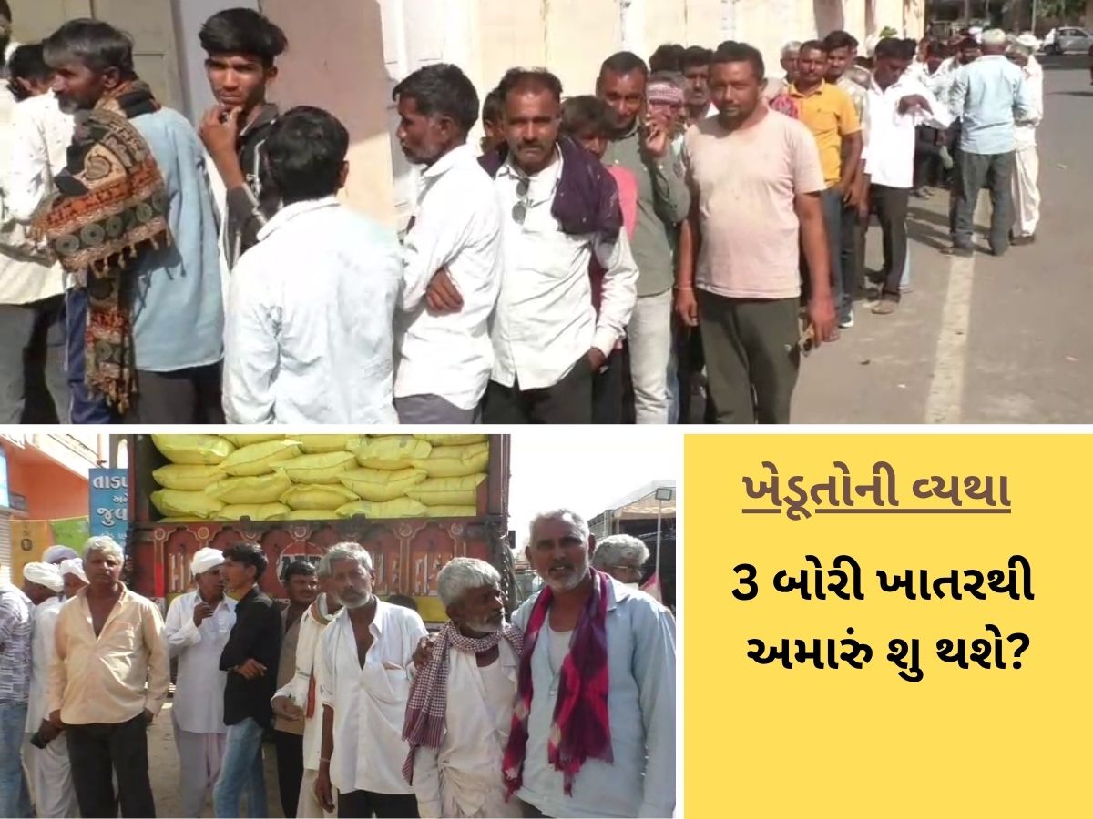 ખેડૂત બન્યો લાચાર! રવિ પાકમાં મહેનત કરી, ને હવે લાંબી લાઈનમાં ઉભા રહીને પણ માત્ર 3 થેલી ખાતર મળે છે