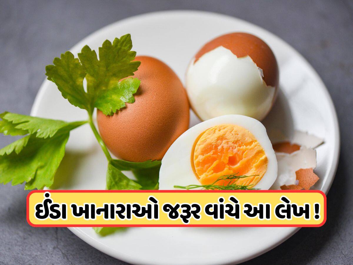 ઈંડા ખાનારાઓ સાવધાન ! અભ્યાસમાં સામે આવી નવી ચેતવણી, 'નબળા હૃદય' વાળા લોકો જરૂર વાંચે 