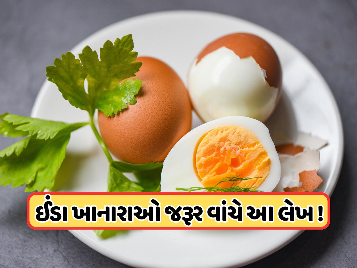 ઈંડા ખાનારાઓ સાવધાન ! અભ્યાસમાં સામે આવી નવી ચેતવણી, 'નબળા હૃદય' વાળા લોકો જરૂર વાંચે