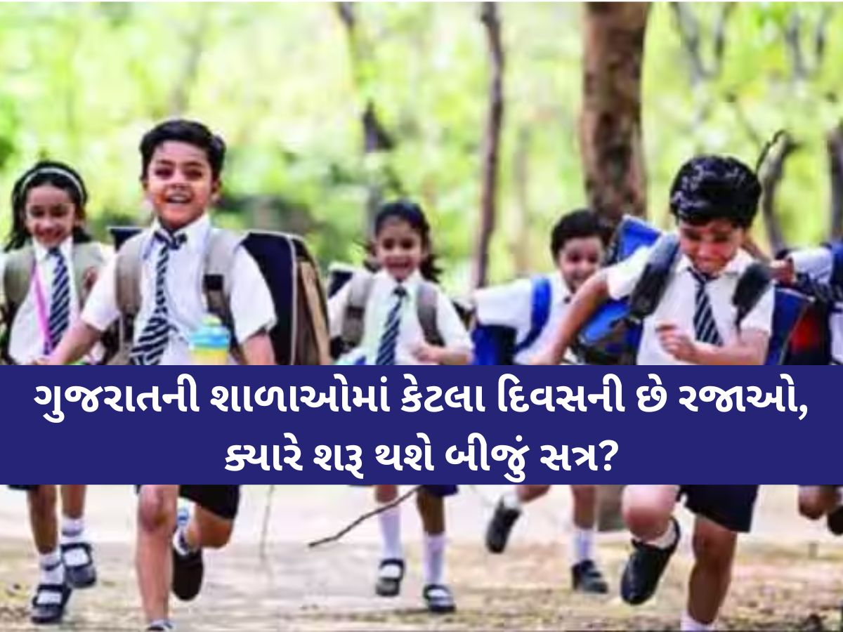 ગુજરાતની શાળાઓમાં પ્રથમ સત્ર પૂરું, આજથી દિવાળી વેકેશન શરૂ; કેટલા દિવસની છે રજાઓ, ક્યારે શરૂ થશે બીજું સત્ર