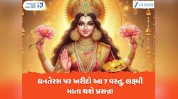 ધનતેરસ પર નથી ખરીદી શકતા સોના-ચાંદી? આ 7 વસ્તુ ખરીદો, માતા લક્ષ્મીની અઢળક કૃપા થશે