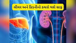 લીવર અને કિડનીને કુદરતી રીતે ડિટોક્સિફાય કરવા કરો આ કામ, પેટમાં જામેલી ગંદકી થશે સાફ