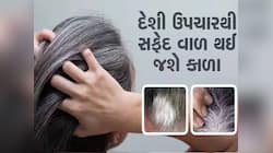 સફેદ વાળને કાળા કરશે આ 3 આયુર્વેદિક હર્બસ, બસ આ રીતે કરો ઉપયોગ