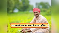 દિવાળી પૂરી થઈ ગઈ, ખેડૂતોના ખાતામાં નથી આવ્યા 2,000 રૂપિયા, જાણો ક્યારે આવશે