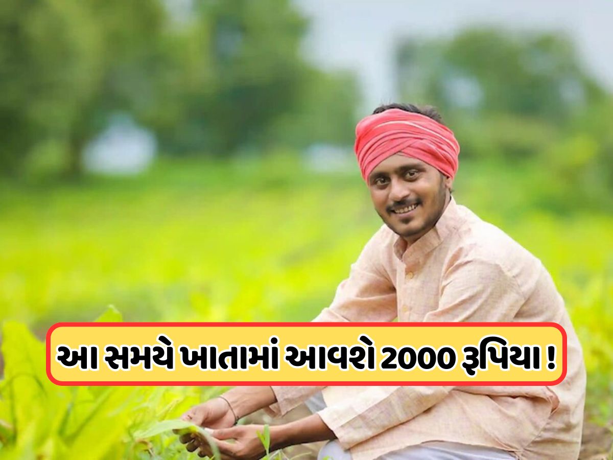 દિવાળી પૂરી થઈ ગઈ, ખેડૂતોના ખાતામાં નથી આવ્યા 2,000 રૂપિયા, જાણો ક્યારે આવશે 21મો હપ્તો? દિવાળી પૂરી થઈ ગઈ, ખેડૂતોના ખાતામાં નથી આવ્યા 2,000 રૂપિયા, જાણો ક્યારે આવશે 21મો હપ્તો?