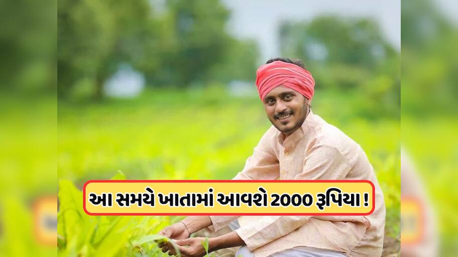 દિવાળી પૂરી થઈ ગઈ, ખેડૂતોના ખાતામાં નથી આવ્યા 2,000 રૂપિયા, જાણો ક્યારે આવશે 21મો હપ્તો?