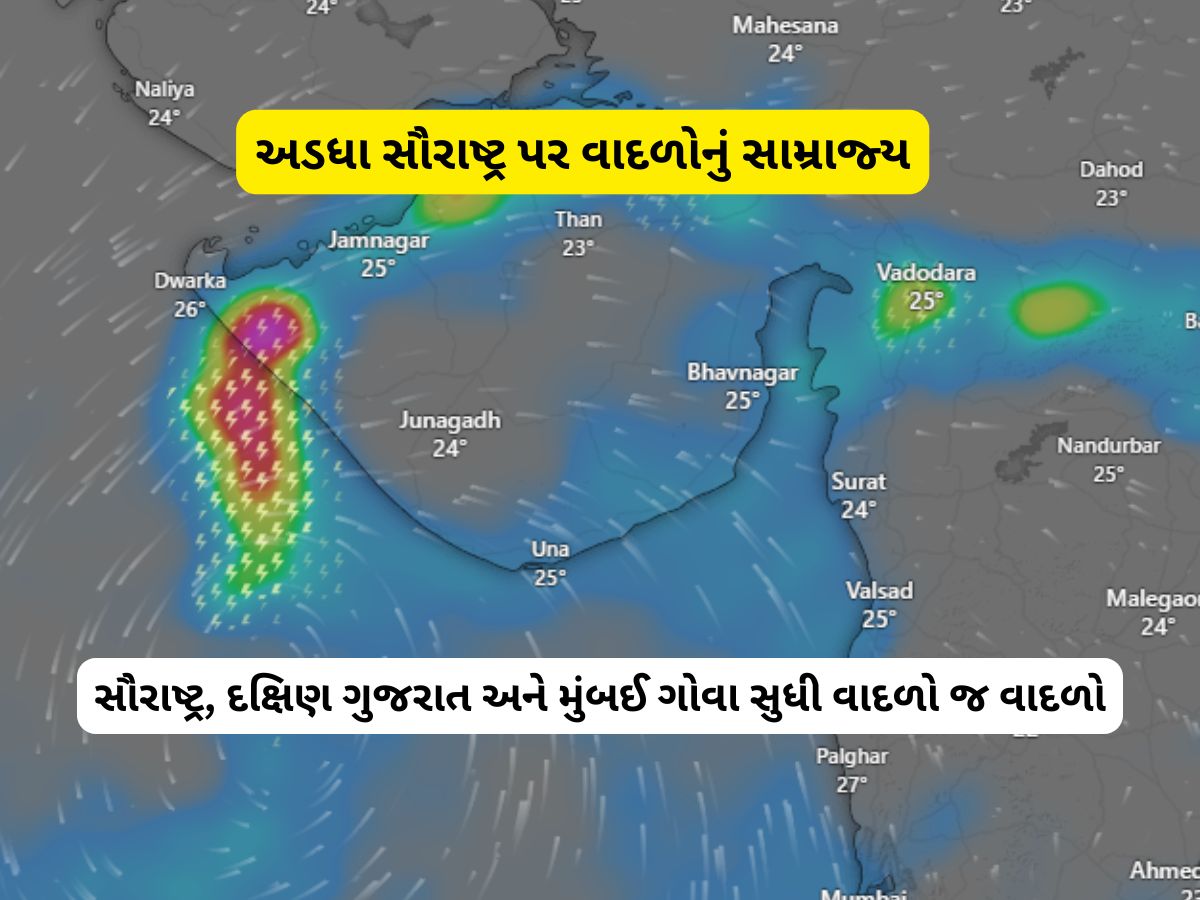 ગુજરાતની વધુ નજીક આવ્યું વાવાઝોડું, NDRF ટીમ દરિયા કાંઠે તૈનાત, આ જિલ્લાઓને એલર્ટ જાહેર ગુજરાતની વધુ નજીક આવ્યું વાવાઝોડું, NDRF ટીમ દરિયા કાંઠે તૈનાત, આ જિલ્લાઓને એલર્ટ જાહેર