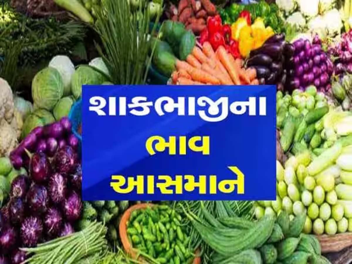ગૃહિણીઓનું બજેટ ખોરવાયું! ભારે વરસાદથી શાકભાજીના ભાવમાં તોતિંગ વધારો, જાણો લેટેસ્ટ ભાવ ગૃહિણીઓનું બજેટ ખોરવાયું! ભારે વરસાદથી શાકભાજીના ભાવમાં તોતિંગ વધારો, જાણો લેટેસ્ટ ભાવ