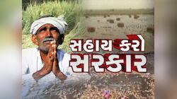 સહાય કરો સરકાર : કિસાન સંઘની માંગ, સરકારે સહાય નહિ પણ વળતર ચૂકવવું પડશે