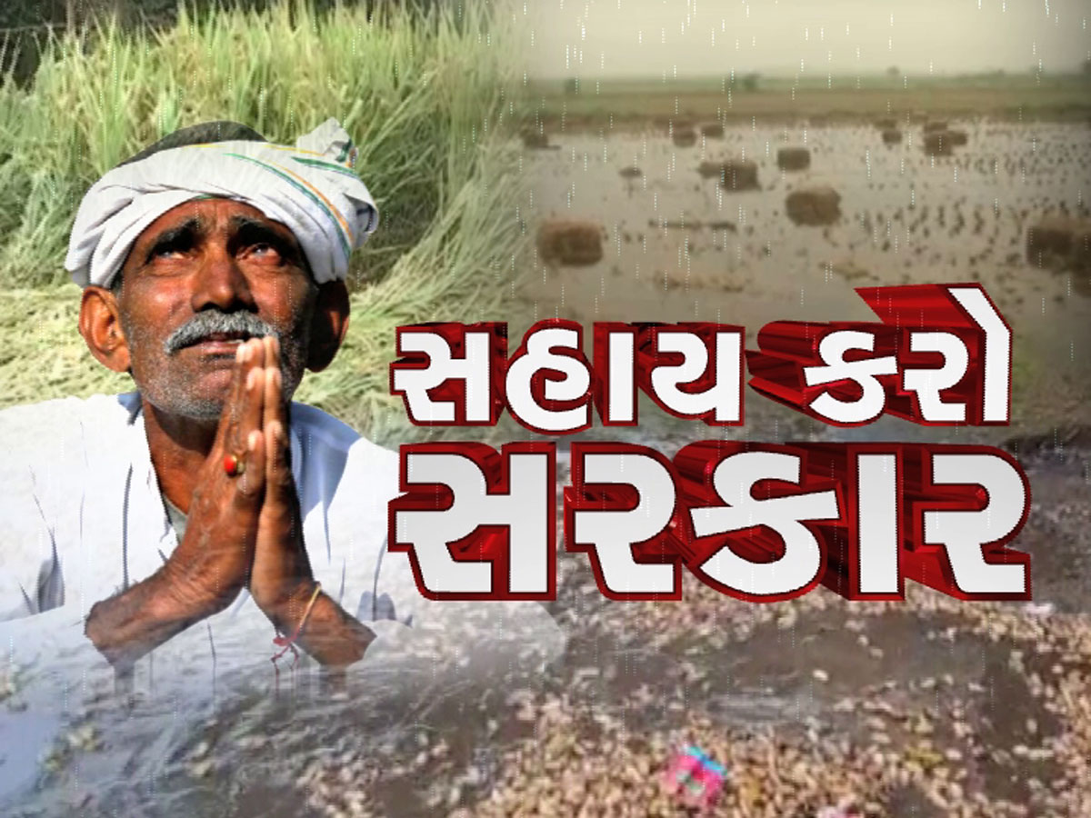સહાય કરો સરકાર : કિસાન સંઘની માંગ, સરકારે સહાય નહિ પણ વળતર ચૂકવવું પડશે સહાય કરો સરકાર : કિસાન સંઘની માંગ, સરકારે સહાય નહિ પણ વળતર ચૂકવવું પડશે