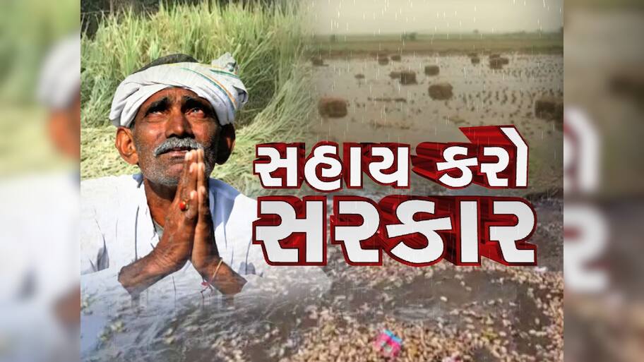 સહાય કરો સરકાર : કિસાન સંઘની માંગ, સરકારે સહાય નહિ પણ વળતર ચૂકવવું પડશે