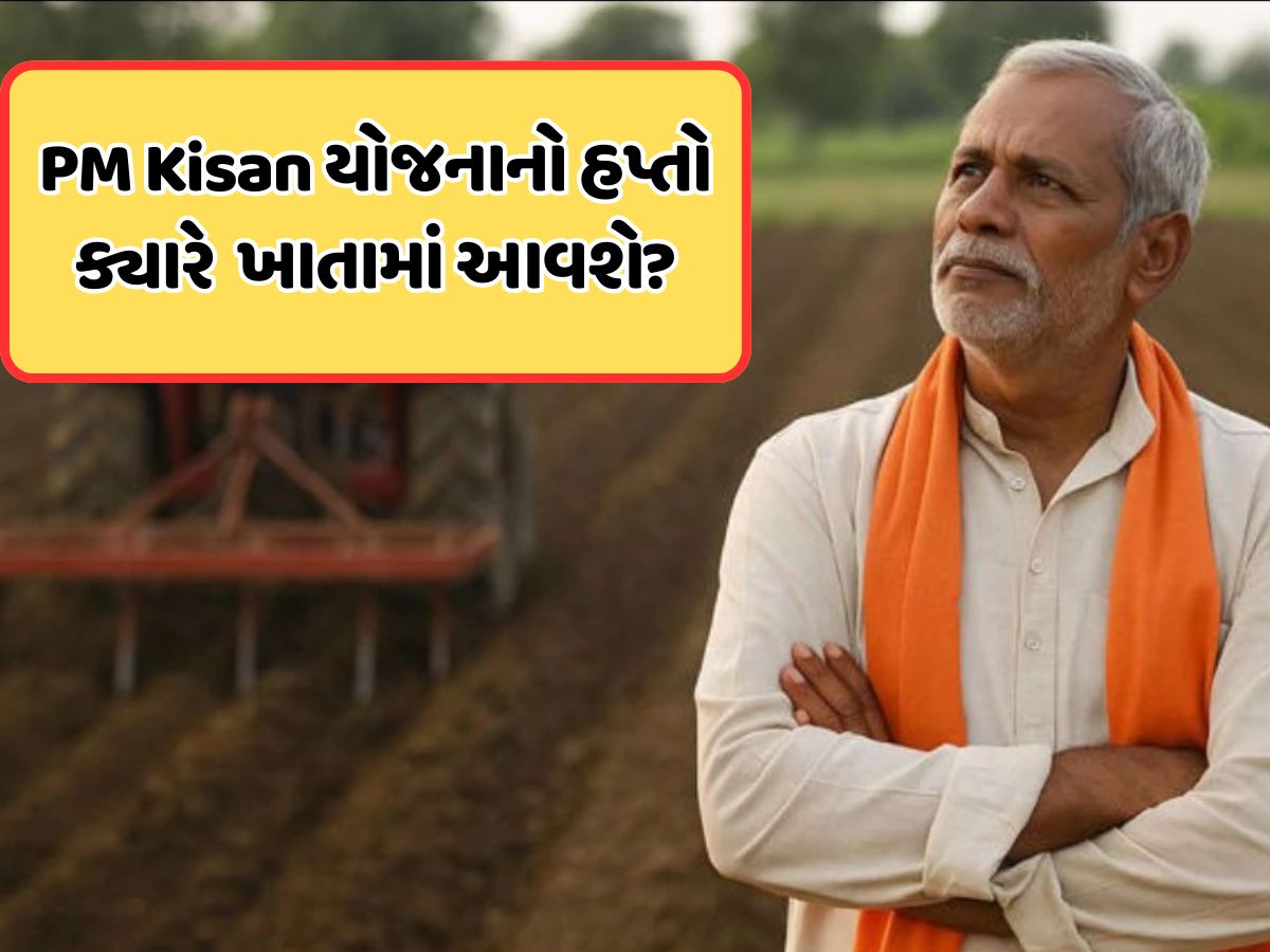 ક્યારે આવશે PM કિસાન યોજનાનો 21મો હપ્તો, સામે આવી લેટેસ્ટ અપડેટ, જાણો ક્યારે આવશે PM કિસાન યોજનાનો 21મો હપ્તો, સામે આવી લેટેસ્ટ અપડેટ, જાણો