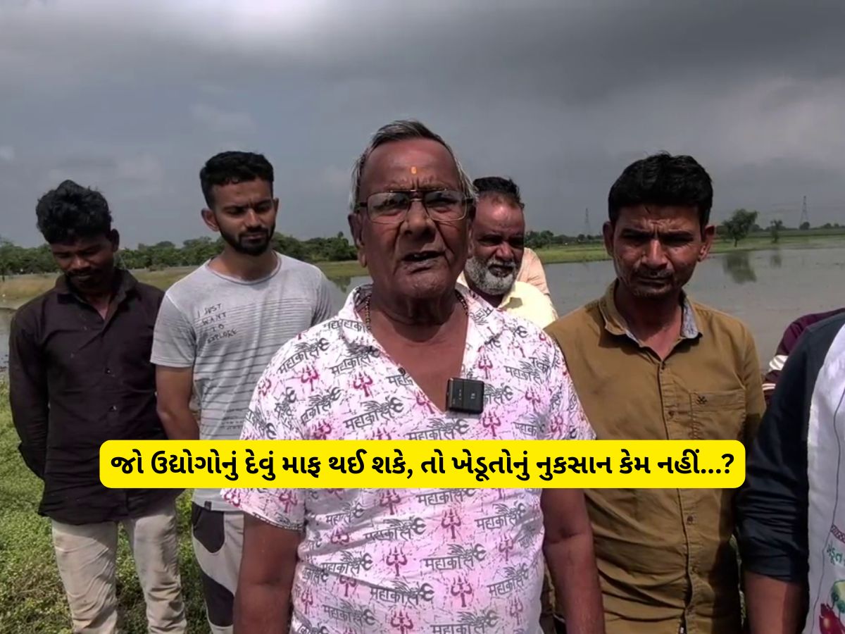 નિરાશ ખેડૂતોની સરકાર પાસે માંગ : જો ઉદ્યોગોનું દેવું માફ થઈ શકે, તો ખેડૂતોનું નુકસાન કેમ નહીં? નિરાશ ખેડૂતોની સરકાર પાસે માંગ : જો ઉદ્યોગોનું દેવું માફ થઈ શકે, તો ખેડૂતોનું નુકસાન કેમ નહીં?