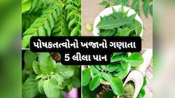 વિટામિન અને મિનરલ્સથી ભરપુર હોય છે આ લીલા પાન, જાણો કઈ બીમારીમાં કયું પાન ખાવું ?