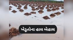 કમોસમી વરસાદને કારણે પાકને ભારે નુકસાન, મદદ માટે હાથ ફેલાવવા મજબૂર બન્યો જગતનો તાત