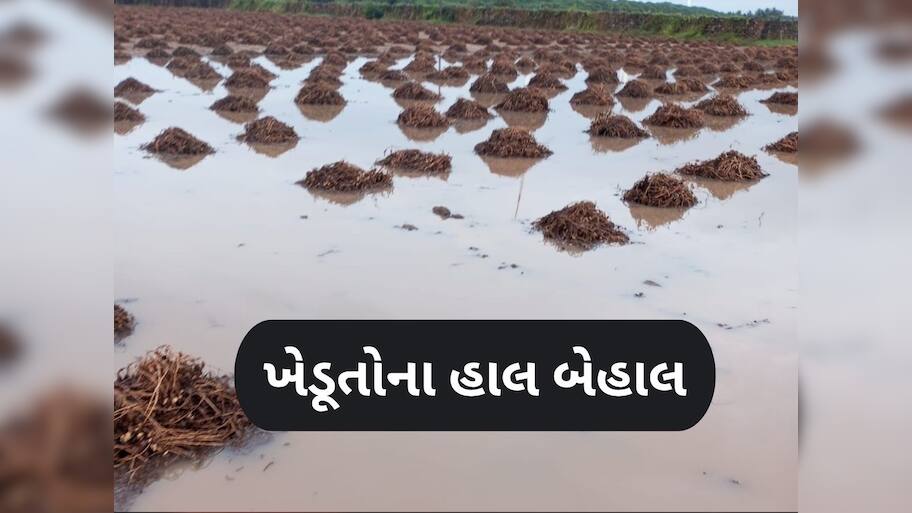  કમોસમી વરસાદને કારણે પાકને ભારે નુકસાન, મદદ માટે હાથ ફેલાવવા મજબૂર બન્યો જગતનો તાત