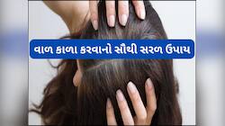 White Hair:તલના તેલમાં આ વસ્તુ મિક્સ કરી વાળમાં લગાડો, કાળા થવા લાગશે સફેદ થયેલા વાળ