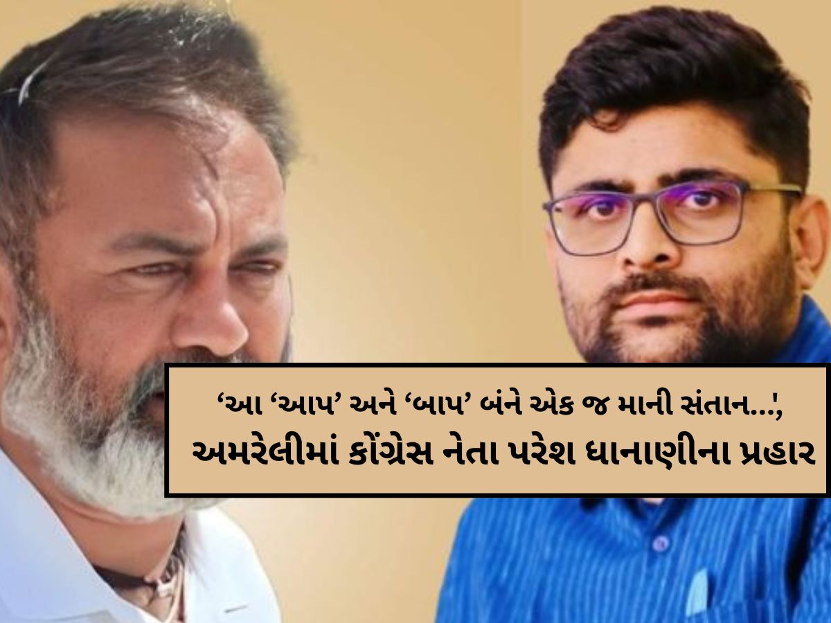 'સરકાર વિઘે 8 હજાર આપે તો AAP નેતા મુજરો કરવા જશે'?, ધાનાણીના AAP-ભાજપ પર આકરા પ્રહારો 'સરકાર વિઘે 8 હજાર આપે તો AAP નેતા મુજરો કરવા જશે'?, ધાનાણીના AAP-ભાજપ પર આકરા પ્રહારો