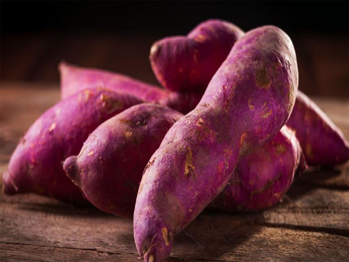 Sweet Potato: શિયાળામાં શક્કરિયા ખાવાથી થતા આ 5 ફાયદા વિશે જાણી આજથી જ ખાવા લાગશો તમે પણ Sweet Potato: શિયાળામાં શક્કરિયા ખાવાથી થતા આ 5 ફાયદા વિશે જાણી આજથી જ ખાવા લાગશો તમે પણ