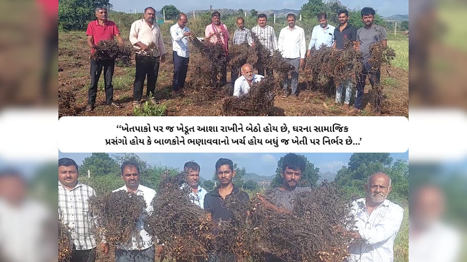 પલળી ગયેલો પાક બતાવીને ગુજરાતના ખેડૂતોએ કહ્યું, સરકાર મોટું મન રાખી ખેડૂતોને મદદ કરે