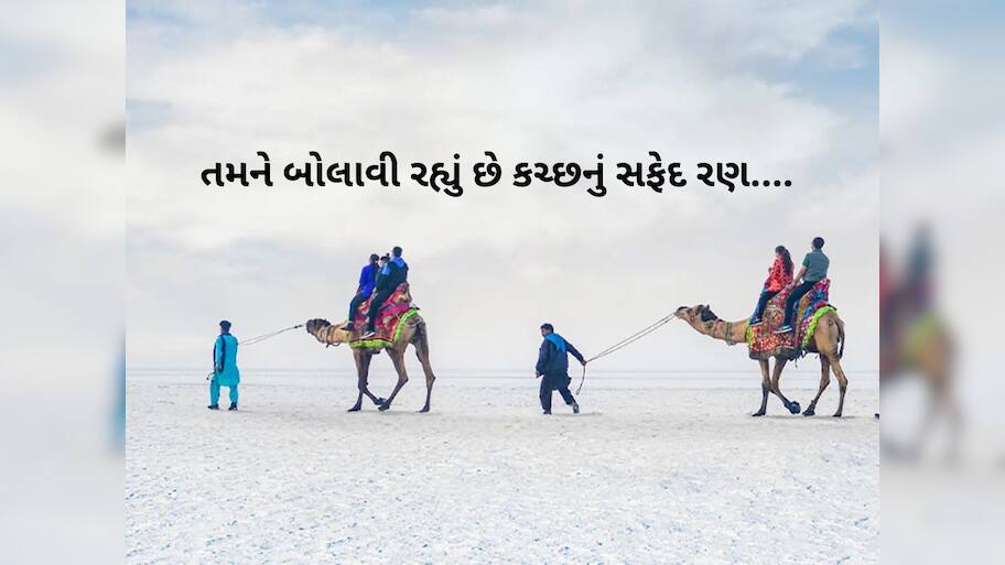 કચ્છના રણમાં બે દિવસ રોકાવાનો કેટલો ખર્ચ થશે, કેટલો છે ટેન્ટનો ભાવ, ક્યાં બુકિંગ કરવું, A ટુ Z માહિતી
