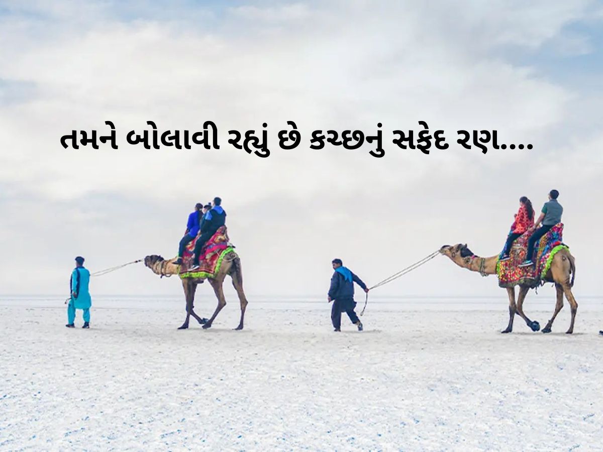 કચ્છના રણમાં બે દિવસ રોકાવાનો કેટલો ખર્ચ થશે, કેટલો છે ટેન્ટનો ભાવ, ક્યાં બુકિંગ કરવું, A ટુ Z માહિતી કચ્છના રણમાં બે દિવસ રોકાવાનો કેટલો ખર્ચ થશે, કેટલો છે ટેન્ટનો ભાવ, ક્યાં બુકિંગ કરવું, A ટુ Z માહિતી