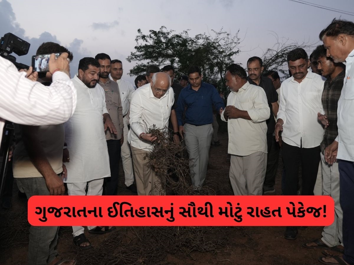 ખેડૂતો માટે ઐતિહાસિક રાહત પેકેજ આપવાની તૈયારી, મુખ્યમંત્રી નિવાસ્થાને યોજાઈ બેઠક, કાલે થઈ શકે છે જાહેરાત ખેડૂતો માટે ઐતિહાસિક રાહત પેકેજ આપવાની તૈયારી, મુખ્યમંત્રી નિવાસ્થાને યોજાઈ બેઠક, કાલે થઈ શકે છે જાહેરાત