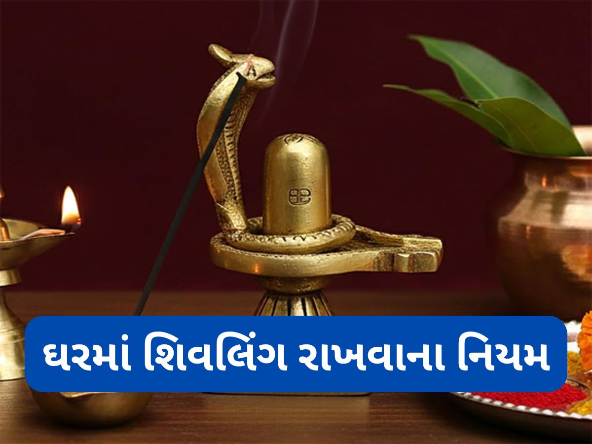 Shivling: ઘરમાં શિવલિંગ રાખવું હોય તો જાણી લો આકાર અને દિશા સંબંધિત મહત્વના વાસ્તુ નિયમ Shivling: ઘરમાં શિવલિંગ રાખવું હોય તો જાણી લો આકાર અને દિશા સંબંધિત મહત્વના વાસ્તુ નિયમ