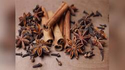 Clove: ઔષધિથી કમ નથી આ મસાલા, રોજ ચાવવાથી થતા જબરદસ્ત લાભ વિશે જાણી લો