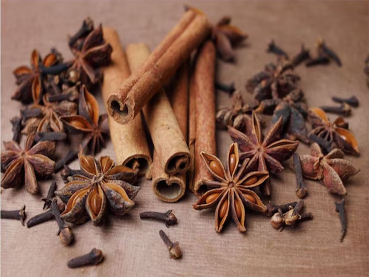 Clove: ઔષધિથી કમ નથી આ મસાલા, રોજ ચાવવાથી થતા જબરદસ્ત લાભ વિશે જાણી લો Clove: ઔષધિથી કમ નથી આ મસાલા, રોજ ચાવવાથી થતા જબરદસ્ત લાભ વિશે જાણી લો