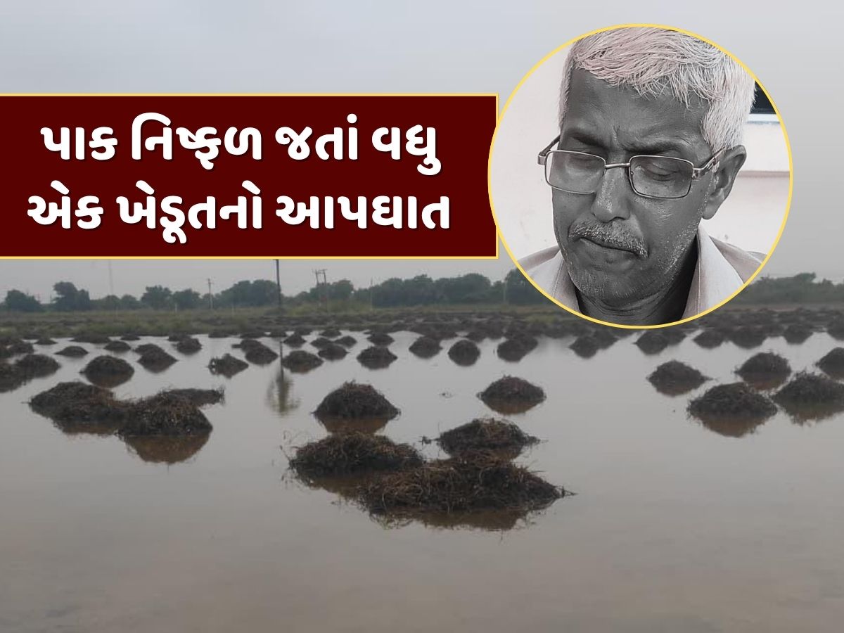 માવઠાએ વધુ એક ખેડૂતનો લીધો જીવ ! ઉનામાં પાક નિષ્ફળ જતાં ખેડૂતે કર્યો આપઘાત માવઠાએ વધુ એક ખેડૂતનો લીધો જીવ ! ઉનામાં પાક નિષ્ફળ જતાં ખેડૂતે કર્યો આપઘાત
