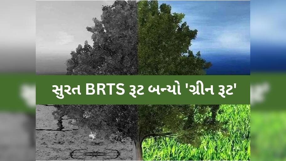 સુરતમાં શરૂ થયો હરિયાળો યુગ! આ રીતે SMC એ દર મહિને 200 ટન કાર્બન ડાયોક્સાઇડ ઘટાડ્યો!
