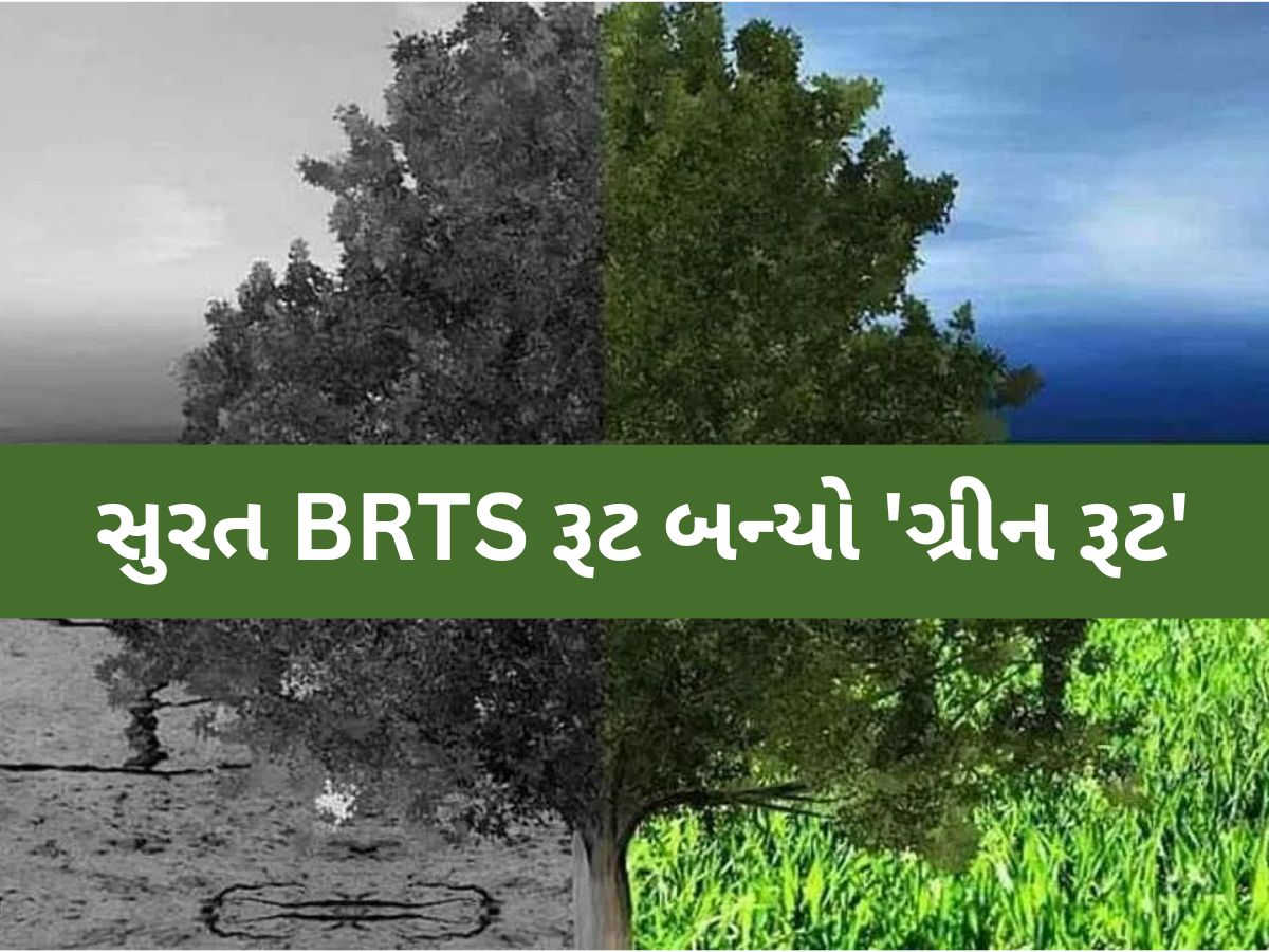 સુરતમાં શરૂ થયો હરિયાળો યુગ! આ રીતે SMC એ દર મહિને 200 ટન કાર્બન ડાયોક્સાઇડ ઘટાડ્યો! સુરતમાં શરૂ થયો હરિયાળો યુગ! આ રીતે SMC એ દર મહિને 200 ટન કાર્બન ડાયોક્સાઇડ ઘટાડ્યો!