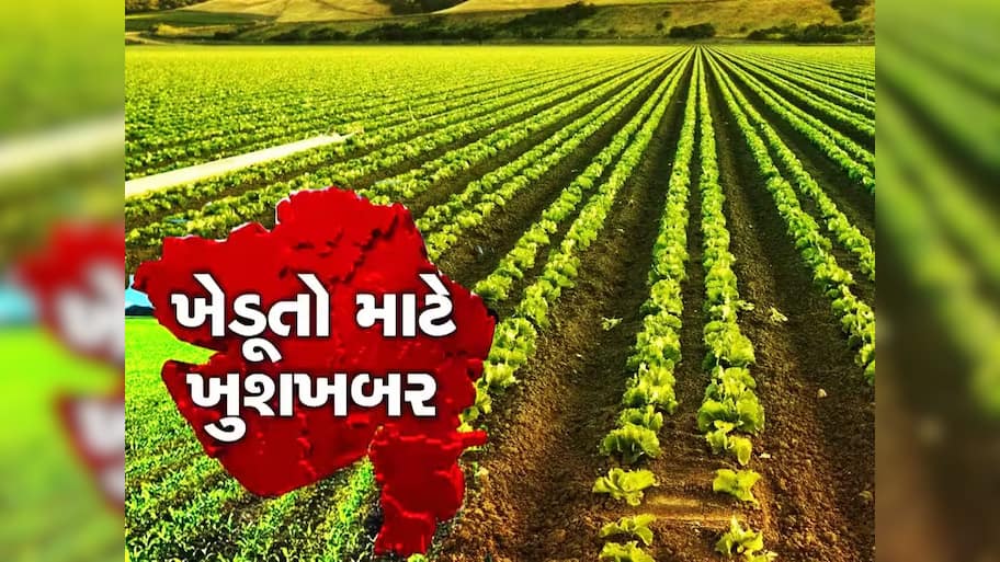 ખેડૂતો માટે સારા સમાચાર, આ તારીખથી શરૂ થશે ટેકાના ભાવે ખરીદી