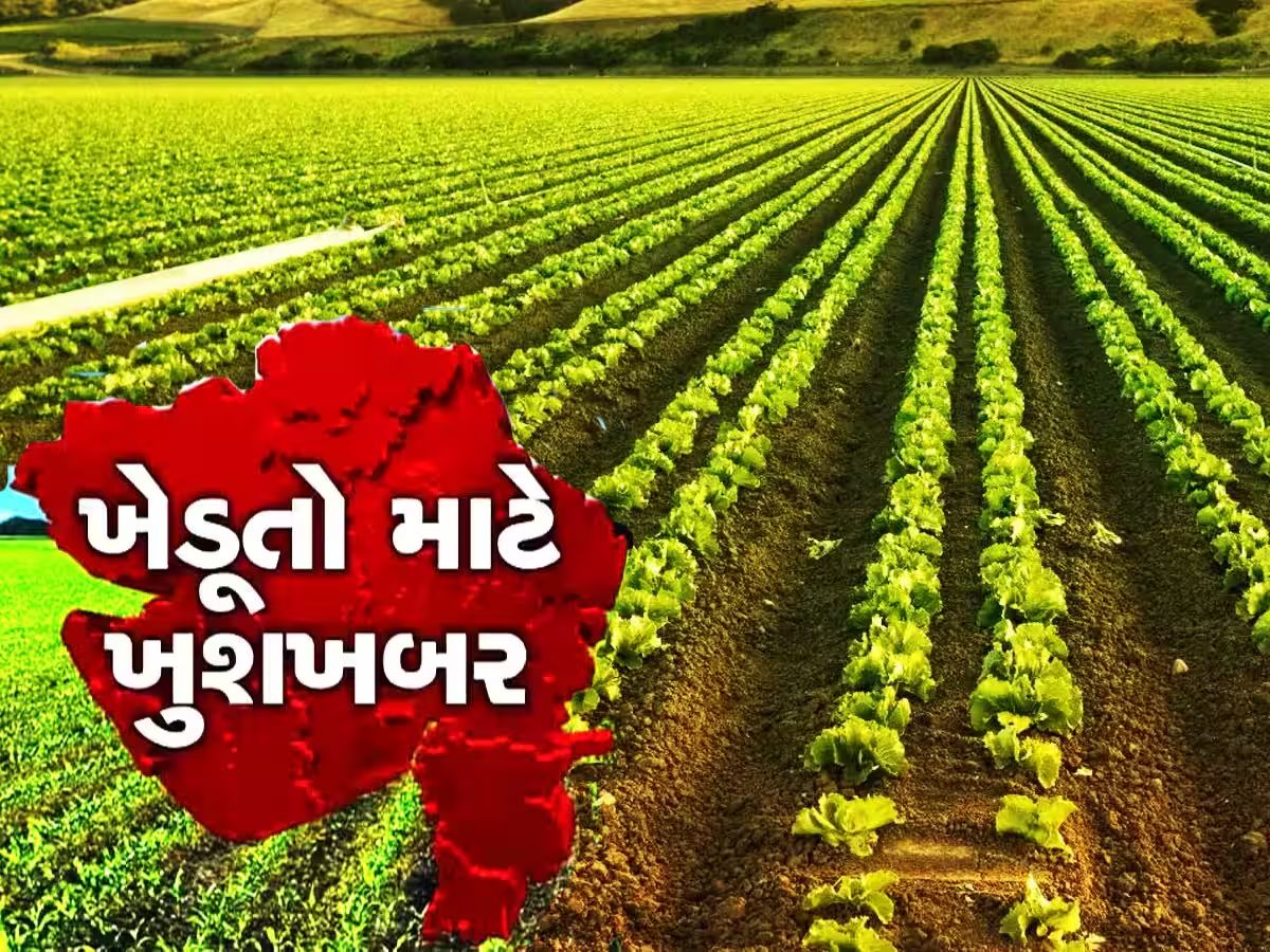 ખેડૂતો માટે સારા સમાચાર, આ તારીખથી શરૂ થશે ટેકાના ભાવે ખરીદી ખેડૂતો માટે સારા સમાચાર, આ તારીખથી શરૂ થશે ટેકાના ભાવે ખરીદી