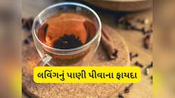 Clove Water: 14 દિવસ સવારે પીવો લવિંગનું પાણી, શરીરમાં દેખાવા લાગશે આ પોઝિટિવ ફેરફાર