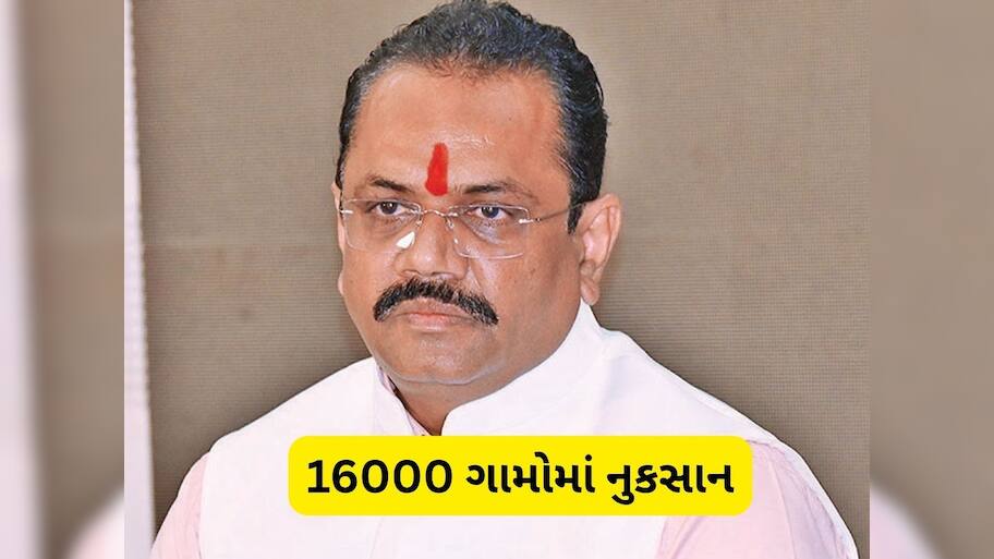42 લાખ હેક્ટર જમીનમાં પાકને થયું નુકસાન, 16000 ગામડાઓમાં માવઠાની અસર