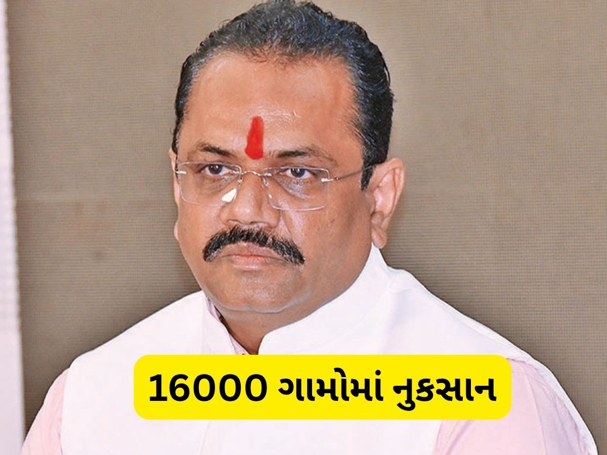 42 લાખ હેક્ટર જમીનમાં પાકને થયું નુકસાન, 16000 ગામડાઓમાં માવઠાની અસર 42 લાખ હેક્ટર જમીનમાં પાકને થયું નુકસાન, 16000 ગામડાઓમાં માવઠાની અસર