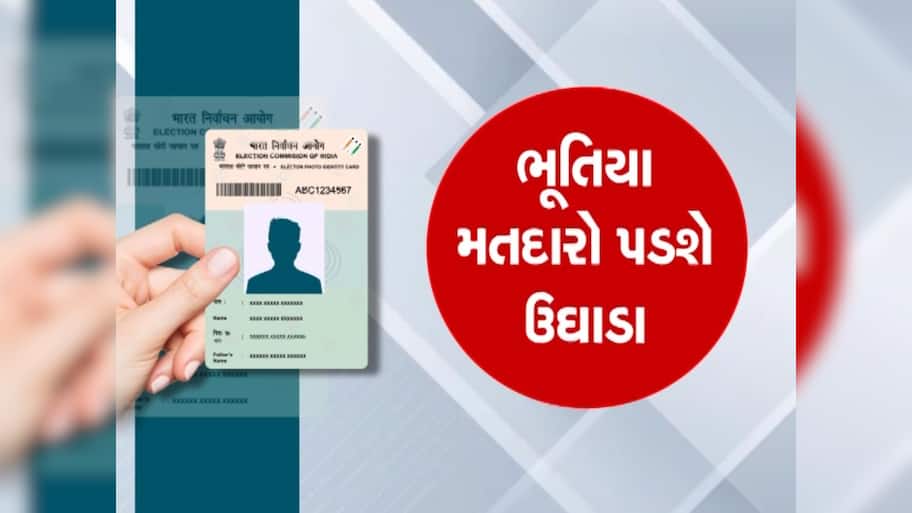   ગુજરાતમાં SIRની કામગીરી શરૂ, લોકોના ઘરે ઘરે પહોંચ્યા BLO, આ વાતનું રાખજો ધ્યાન