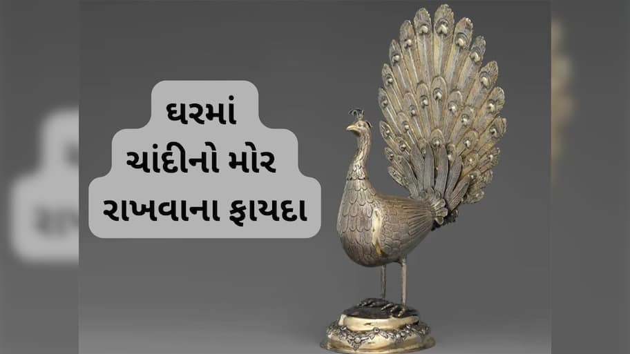 Vastu Tips: વાસ્તુ શાસ્ત્રમાં ચાંદીના મોરનું વિશેષ મહત્વ છે, યોગ્ય દિશામાં રાખો તો મળે અપાર સંપન્નતા