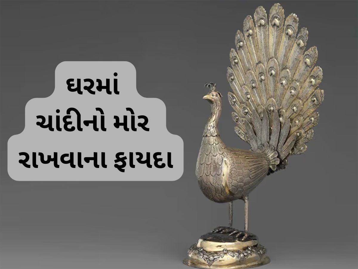 Vastu Tips: વાસ્તુ શાસ્ત્રમાં ચાંદીના મોરનું વિશેષ મહત્વ છે, યોગ્ય દિશામાં રાખો તો મળે અપાર સંપન્નતા Vastu Tips: વાસ્તુ શાસ્ત્રમાં ચાંદીના મોરનું વિશેષ મહત્વ છે, યોગ્ય દિશામાં રાખો તો મળે અપાર સંપન્નતા