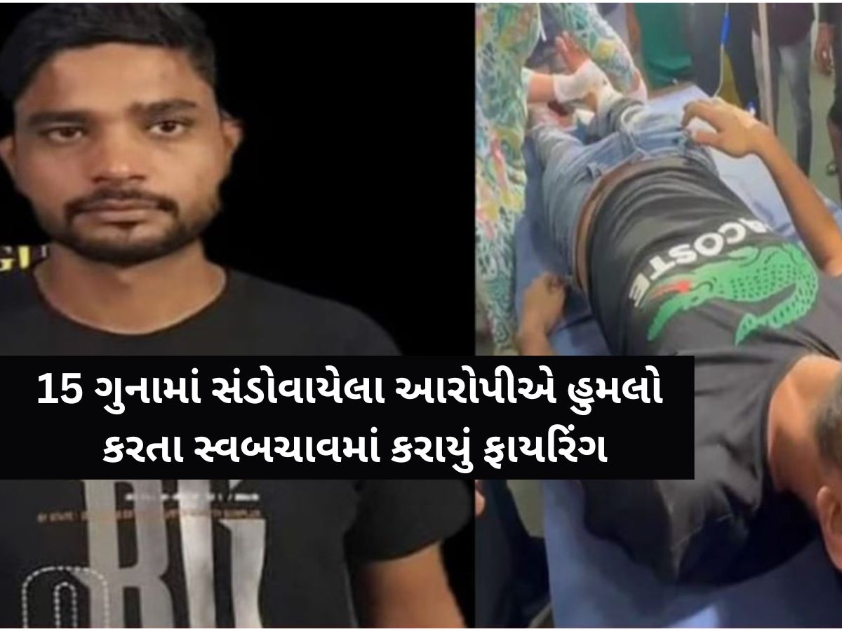 નવસારીના માથાભારે સલમાન લસ્સી પર ફાયરિંગ: ચપ્પું વડે હુમલો કરતા સ્વબચાવમાં પોલીસનો ગોળીબાર નવસારીના માથાભારે સલમાન લસ્સી પર ફાયરિંગ: ચપ્પું વડે હુમલો કરતા સ્વબચાવમાં પોલીસનો ગોળીબાર