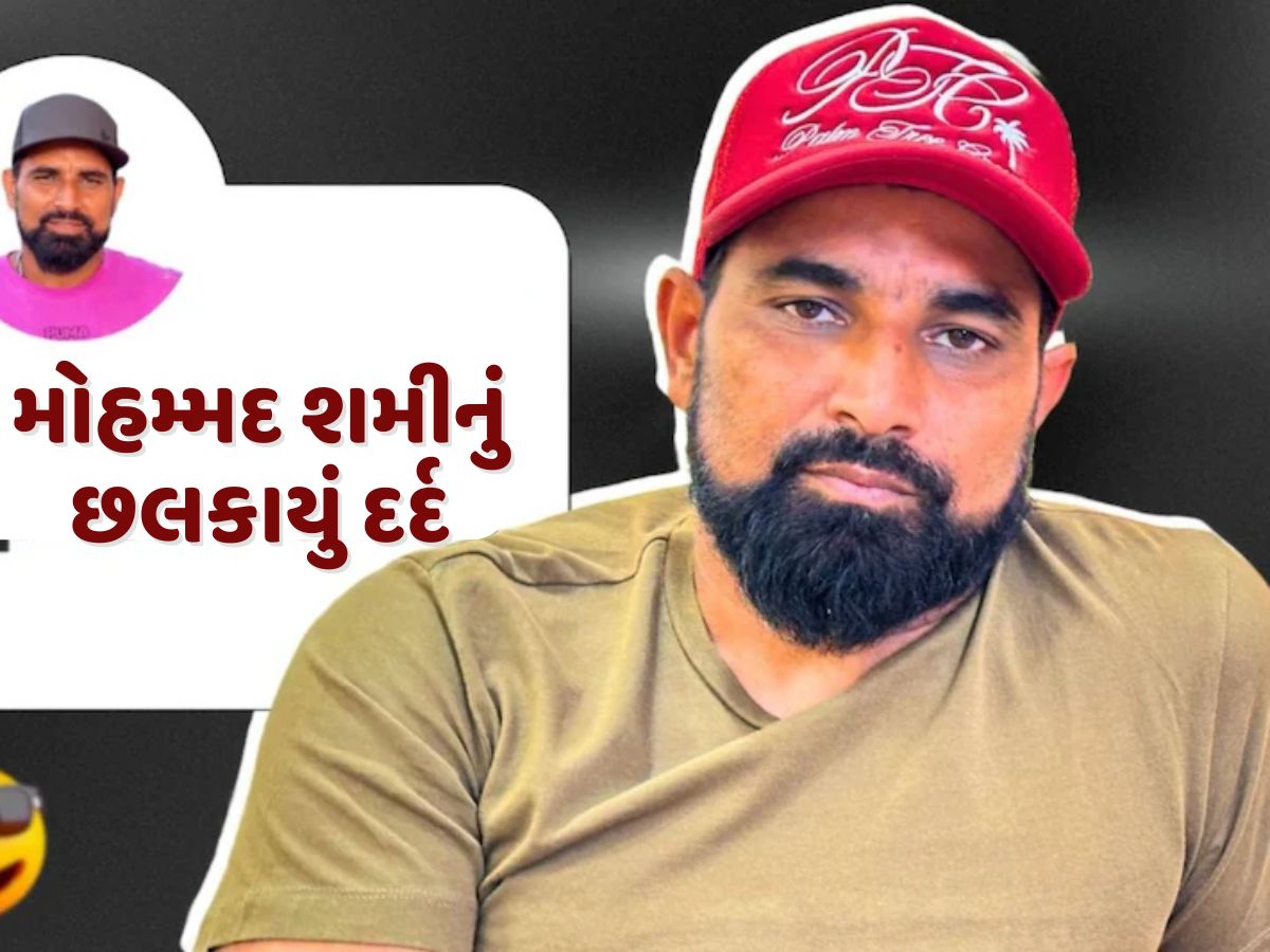 'દુશ્મનો ક્યારેય મદદ કરતા નથી...' મોહમ્મદ શમીનું છલકાયું દર્દ, Video શેર કરી સ્ટ્રગલ પર કરી વાત 'દુશ્મનો ક્યારેય મદદ કરતા નથી...' મોહમ્મદ શમીનું છલકાયું દર્દ, Video શેર કરી સ્ટ્રગલ પર કરી વાત