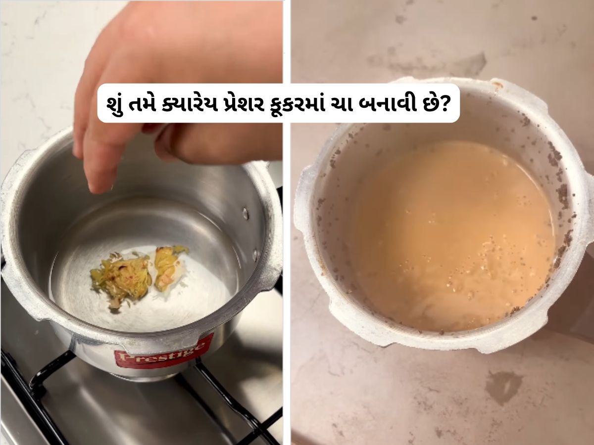 આ શખ્સે કુકરમાં બનાવી ચા, રેસિપીનો ખતરનાક વીડિયો જોઈને યુઝર્સ ભડક્યા