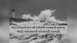 અરબી સમુદ્રની સિસ્ટમે સીધો જ વળાંક લીધો! ગુજરાતમાં થશે અસર, આ જિલ્લાઓમાં પડશે વરસાદ