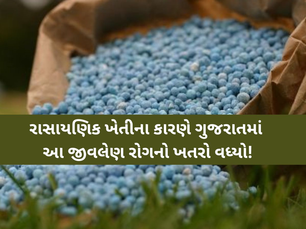 રાસાયણિક ખેતીના કારણે ગુજરાતમાં આ જીવલેણ રોગનો ખતરો વધ્યો! ખેડૂતોને સમજાવ્યા કૃષિના 5 આયામો