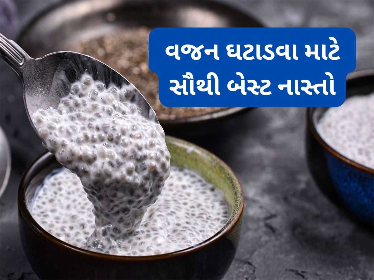 Weight Loss: વજન ઘટાડવા માટે સૌથી સારો નાસ્તો, આ 2 વસ્તુ સવારે ખાવાથી ફટાફટ ઓગળવા લાગશે ફેટ