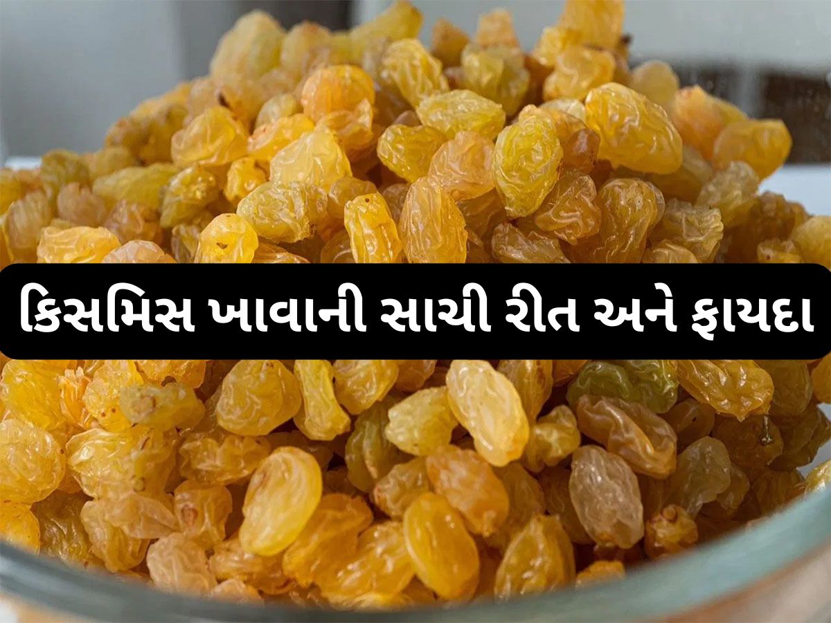 Raisins: ઠંડીમાં આ રીતે ખાશો કિસમિસ તો શરીરની મોટી-મોટી સમસ્યાઓ દવા વિના થઈ જશે દુર Raisins: ઠંડીમાં આ રીતે ખાશો કિસમિસ તો શરીરની મોટી-મોટી સમસ્યાઓ દવા વિના થઈ જશે દુર